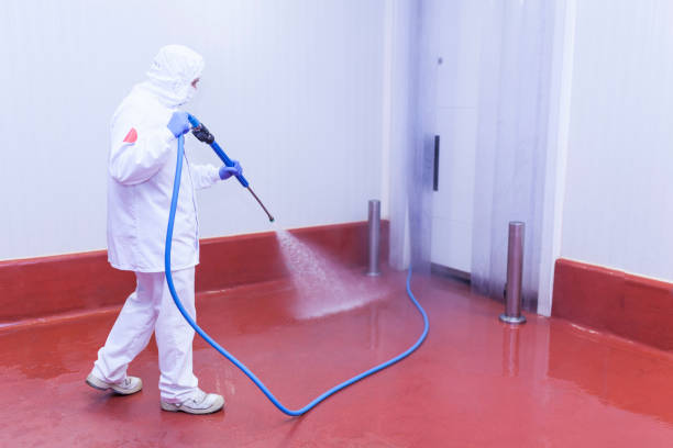Reliable River Grove, IL Pressure Washing Services Solutions